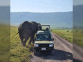 5 Days 4 nights Zanzibar Package