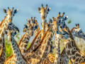 5 Days 4 nights Zanzibar Package