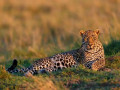 4 Days Safari Best Itinerary