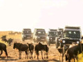 4 Days Safari Best Itinerary