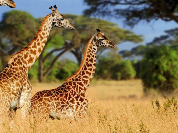 
              4 Days Zanzibar Package
              