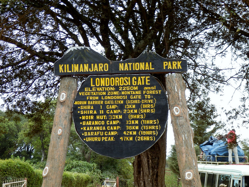 8 Day Kilimanjaro Climb